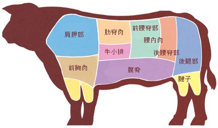牛肉各部位的肉质与口感图